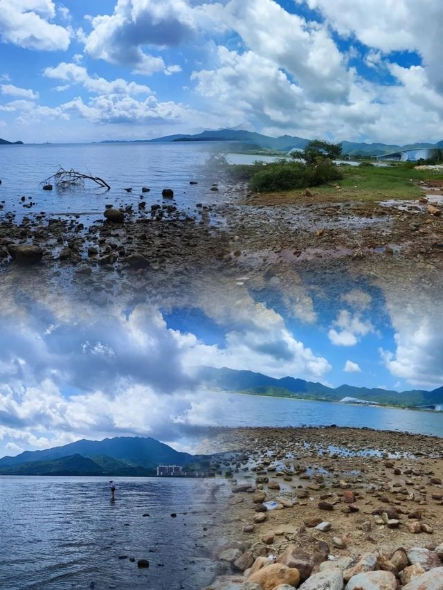 深圳白沙灣公園|邂逅自然之美,重拾生活。 深圳白沙灣公園|邂逅自然之美,重拾生活。