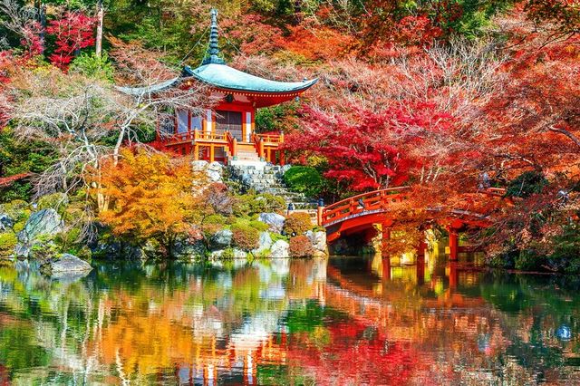 佐賀，一個被低估的日本寶藏地。