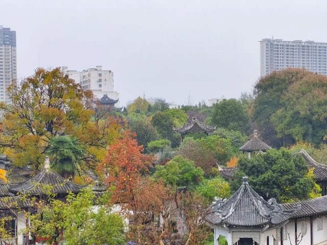 南陽周邊遊。