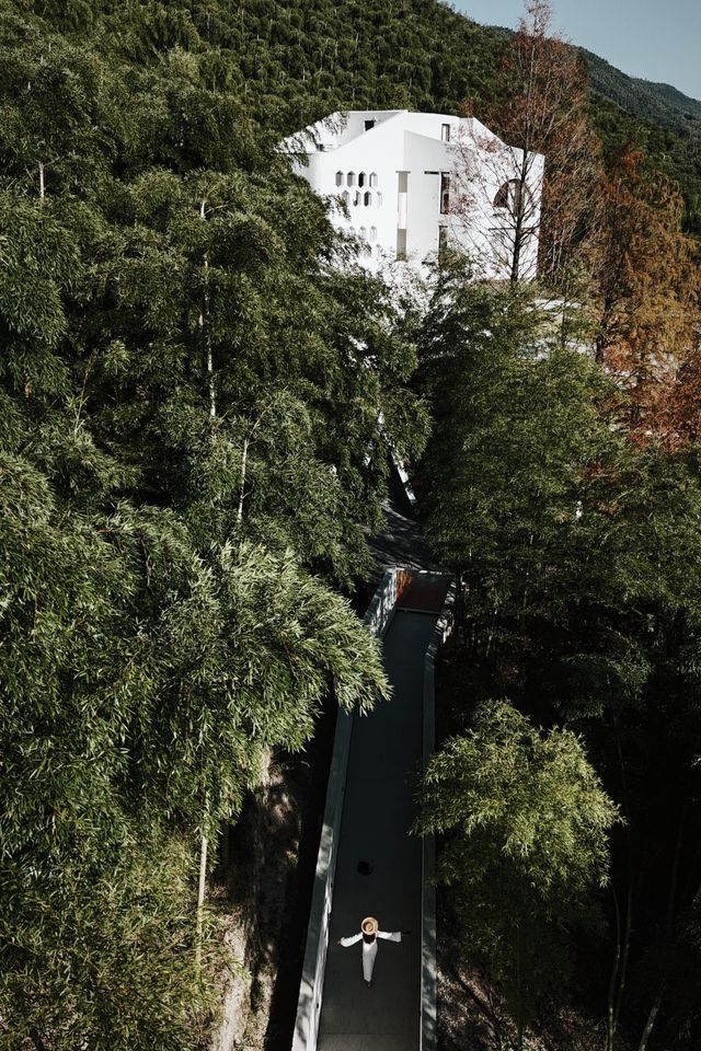 冬季反向旅行之我在莫干山找到了未來世界