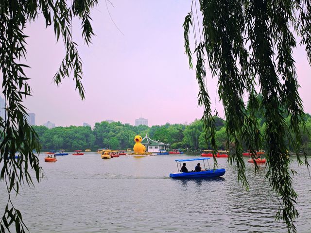 兒時常去的公園,現在帶娃去玩也很不錯! 兒時常去的公園,現在帶娃去玩也很不錯!