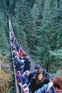 Explore the Famous Capilano Suspension Bridge in Vancouver, Canada