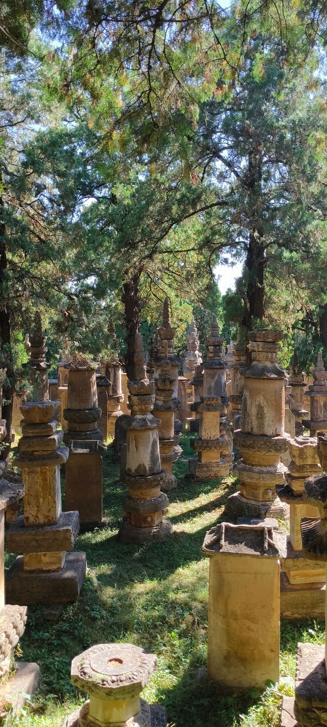 山東濟南「靈岩寺」