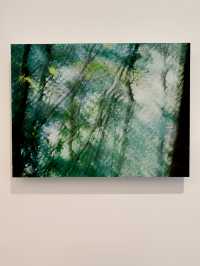 上生新所絕美新展，緩慢的歸鄉