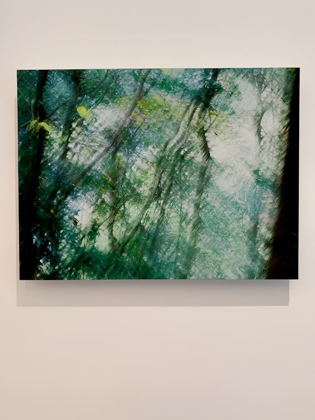 上生新所絕美新展，緩慢的歸鄉