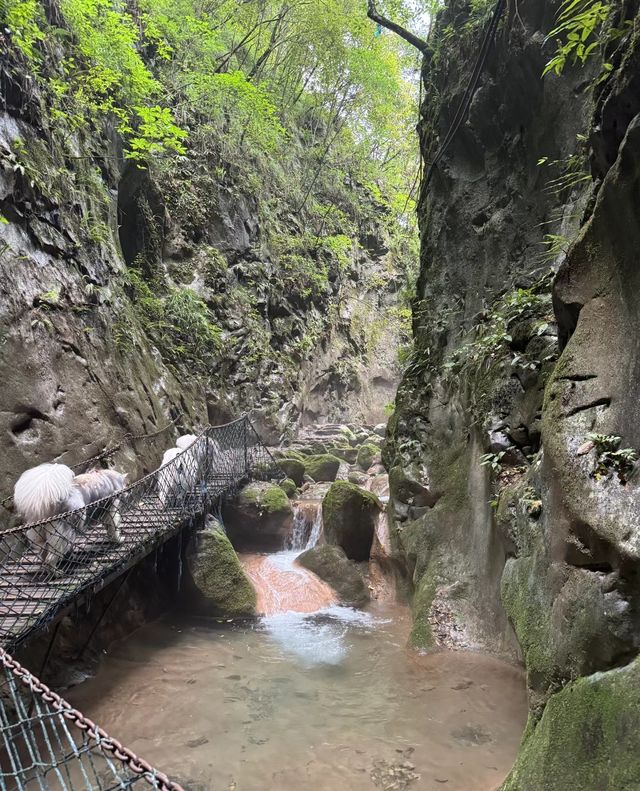 自然風光旖旎生態保持完好之地～襄陽翡翠峽