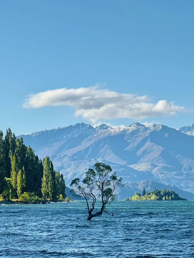 12-Day New Zealand In-Depth Tour: Super Detailed Guide