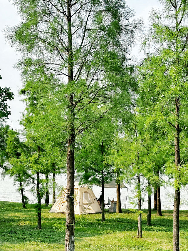 佛山4個露營地攻略 佛山4個露營地攻略