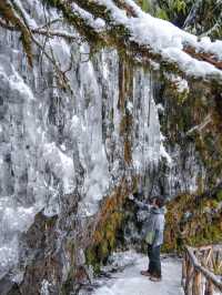 成都出發2h在白雪森林中發現藍冰瀑布