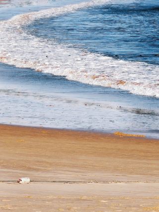 3-Day Lunar New Year Trip to Australia: The Ultimate Guide
