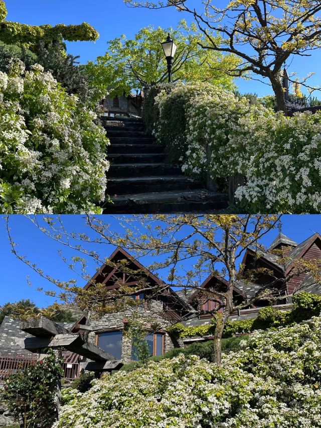 在新西蘭住上了人生！