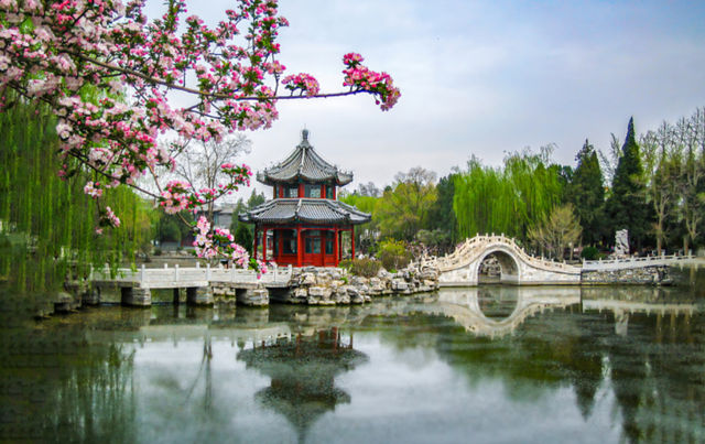 古蓮花池