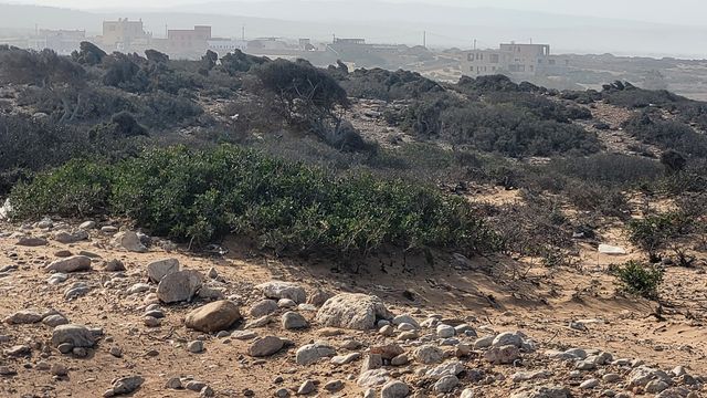 摩洛哥西海岸--從拉巴特到阿加迪爾
