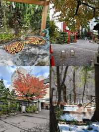 探秘青森：解鎖日本東北的夢幻角落