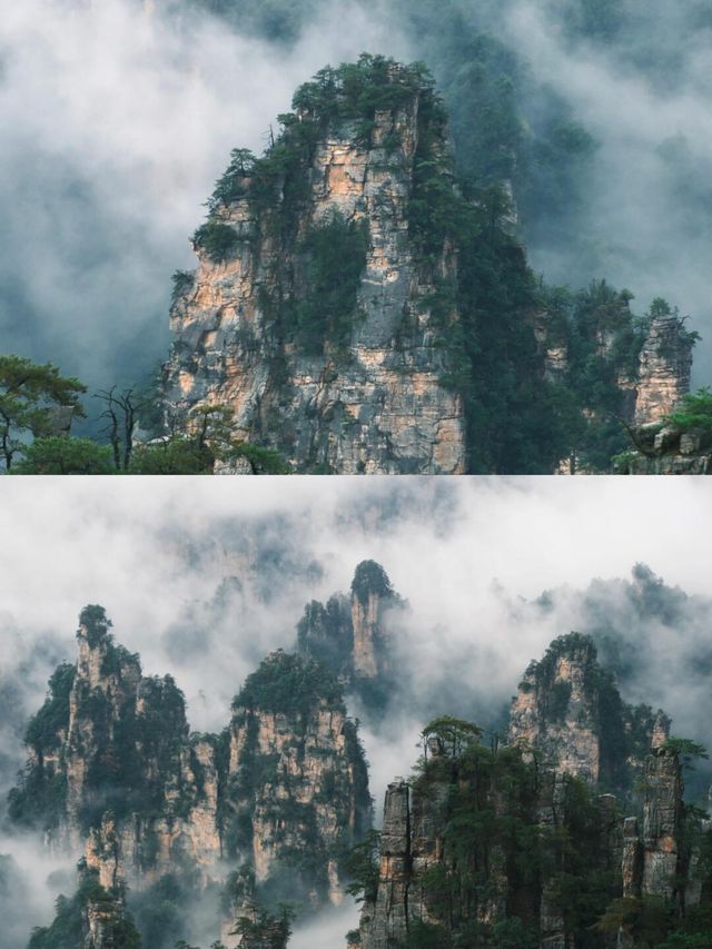 張家界已回,說點大實話 張家界已回,說點大實話