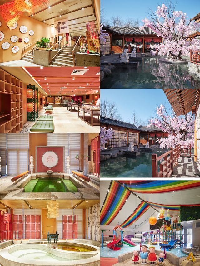 世園花燈節遊玩攻略