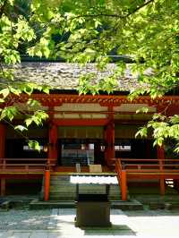 五日日本之旅 | 大人氣路線神秘揭密