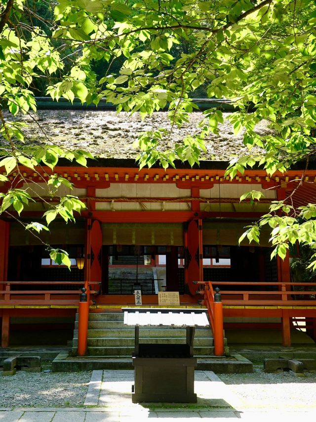 五日日本之旅 | 大人氣路線神秘揭密