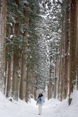 Just returned from hiking in Togakushi, it's as hard to quit as a breakup