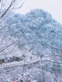 成都周邊遊滑雪攻略|南方人可真的太喜歡看雪啦~