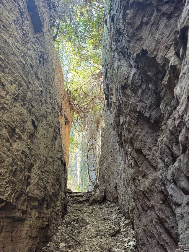 5日暢遊江西南昌-廬山-景德鎮 玩轉不停歇