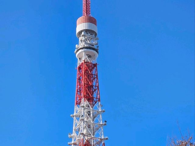 Citywalk to @Tokyo Tower