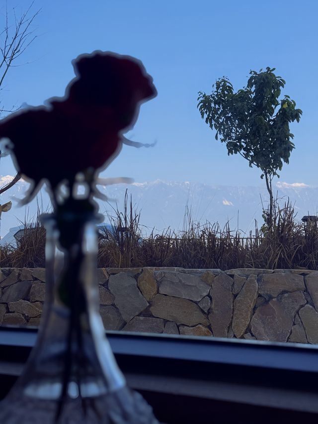 做無名小花，做快樂小狗
