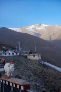 這是我旅行以來見過最美的湖｜山南羊卓雍措