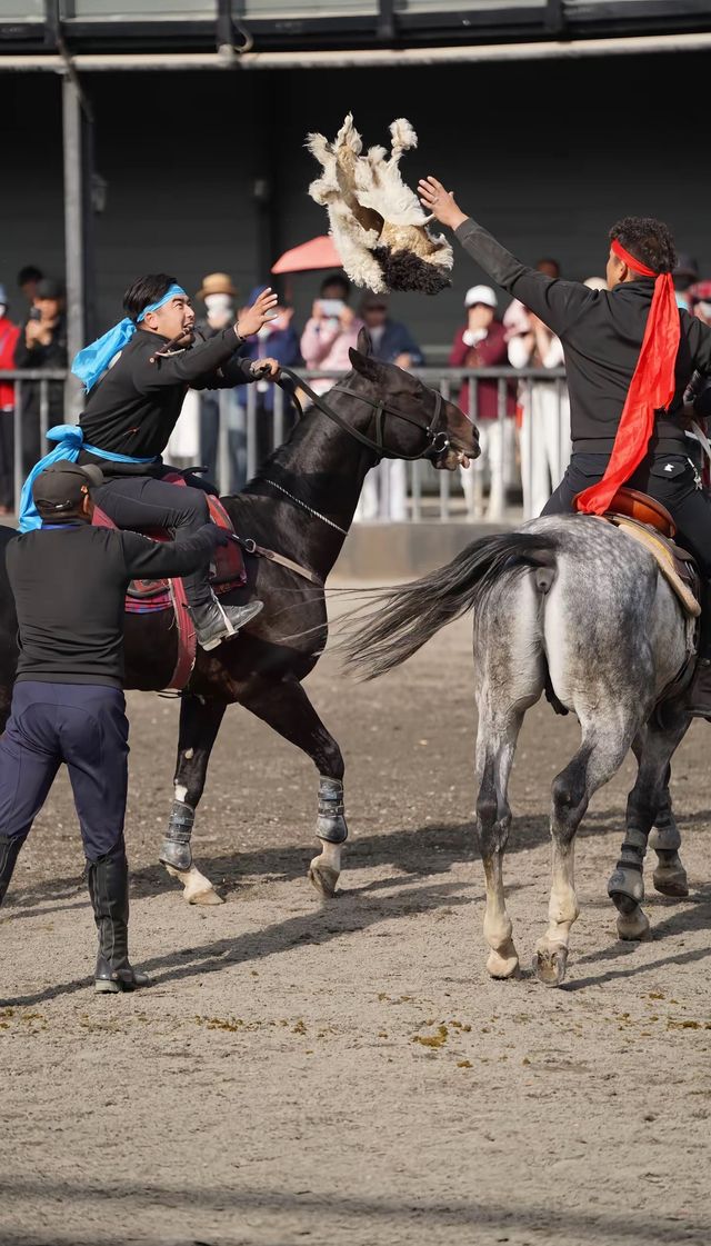 太激動!太熱血沸騰了!家人們,去烏魯木齊一定要去這個地方! 太激動!太熱血沸騰了!家人們,去烏魯木齊一定要去這個地方!