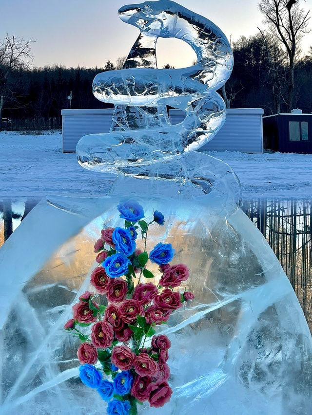 淨月潭森林公園半日遊，錯過等一年的冰雪美景