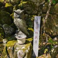 避開人潮，福岡一人悠遊記 | 九州福岡5天4晚獨旅攻略