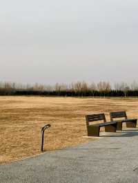 鍾意西安每個有陽光嘅日子