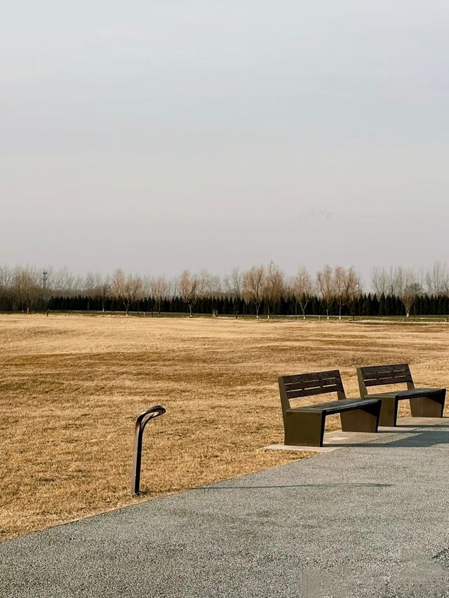 鍾意西安每個有陽光嘅日子 鍾意西安每個有陽光嘅日子