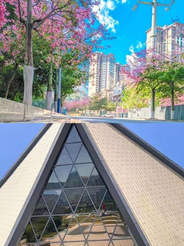 攀枝花已回，說說我的真實感受。