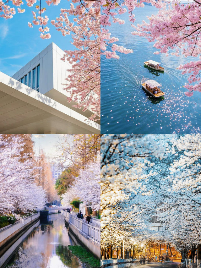 南京的春天是一萬次的春和景明
