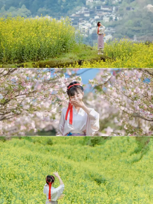 三月去邊度｜嚟婺源篁嶺，賞萬畝油菜花花海！