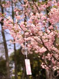 南京這個免費公園才是春日賞花天花板吧！