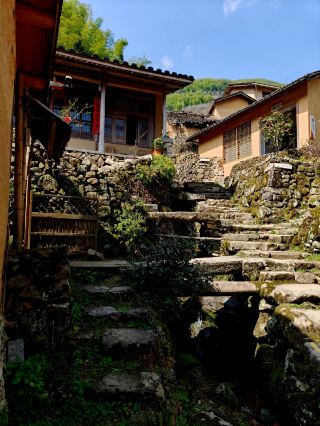 I found a Ghibli-esque bookstore in an ancient village in Zhejiang!