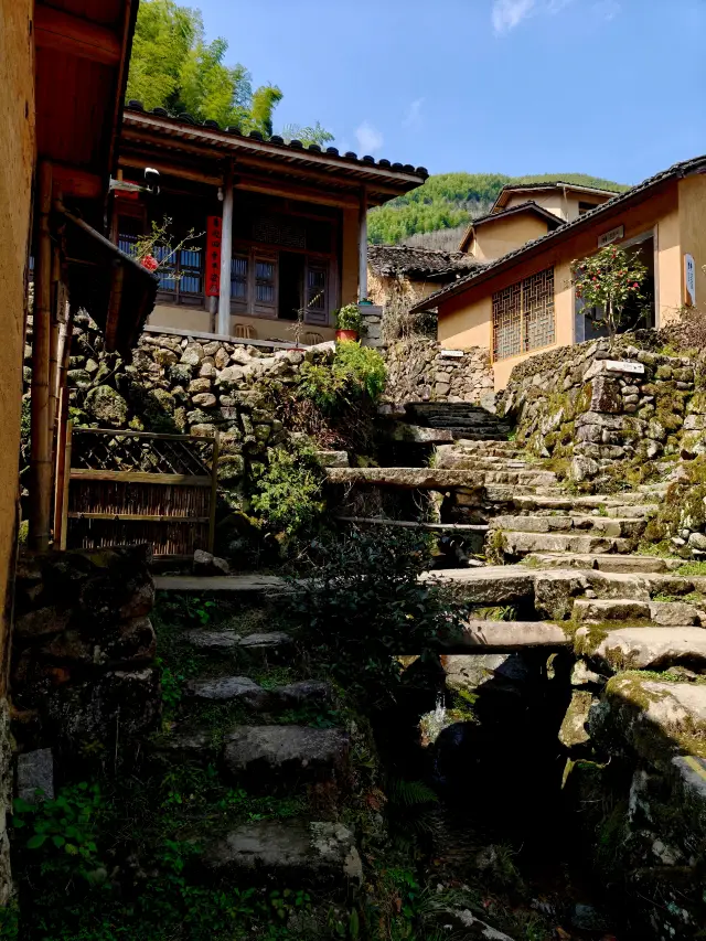 I found a Ghibli-esque bookstore in an ancient village in Zhejiang!