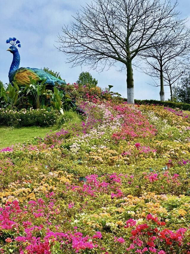 東莞植物園 帶你認識從未見過的各種各樣植物新生命