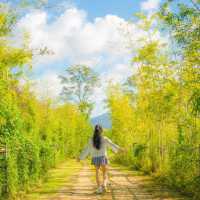 釜山限定浪漫 | 大渚生態公園粉黛亂子草海來襲🌸