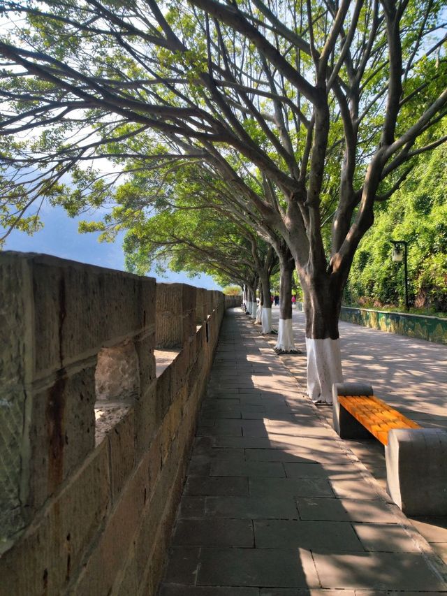 重慶—宜昌4日深度遊，暢玩熱門景點，絕不踩雷