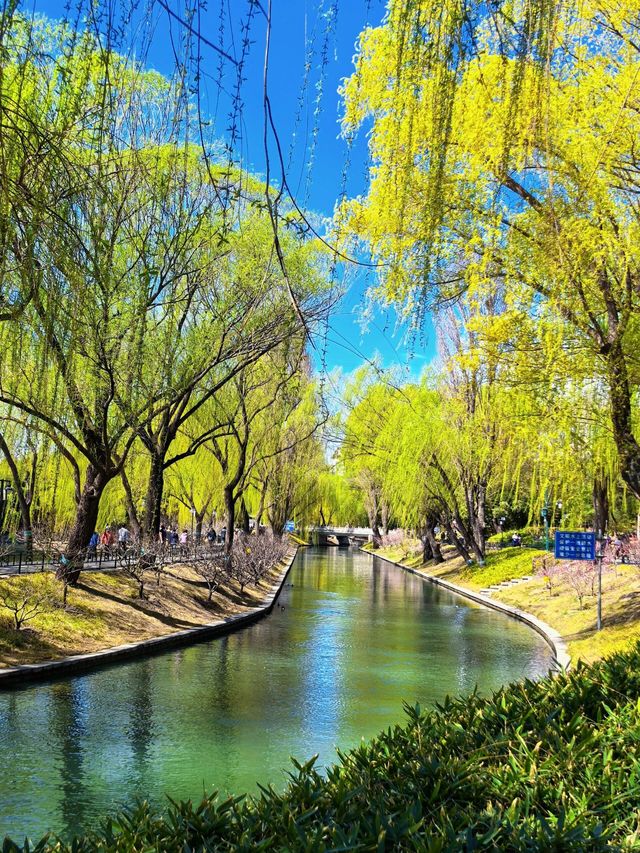 北京都能拍出江南大片丨紫竹院友賢山館