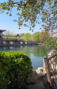 濟南五龍潭公園，靚到突破天際啦！原圖直出嘅春日盛宴