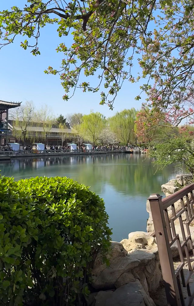 濟南五龍潭公園，靚到突破天際啦！原圖直出嘅春日盛宴