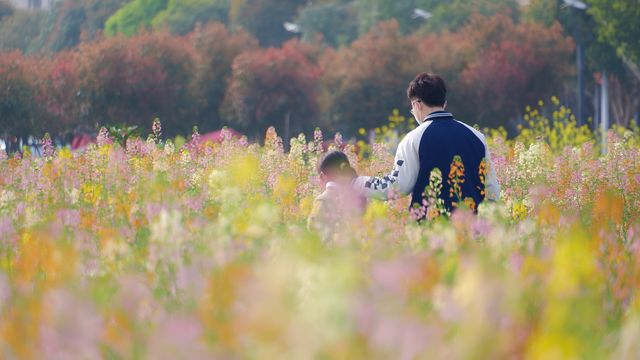 南縣羅文村旅遊｜呢一片五彩繽紛嘅油菜花係夢中嘅春天
