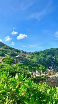 來楊梅坑，開啟一場藍色多巴胺之旅～