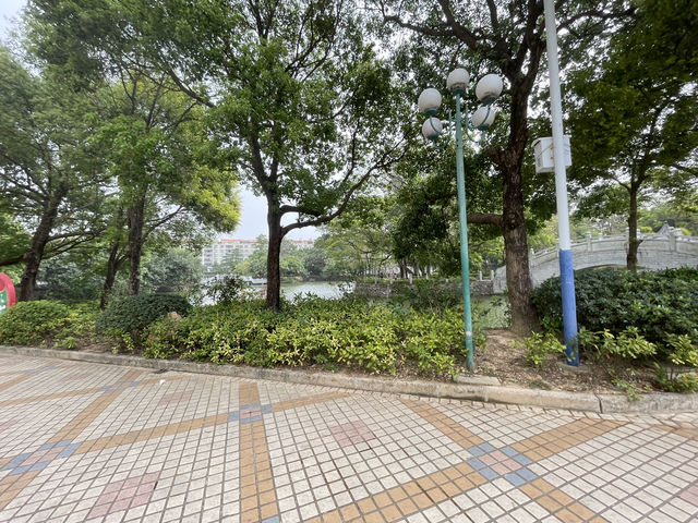 《春城公園｜不是用來打卡，是用來觀察人生百態的地方》