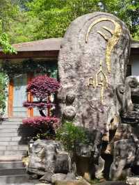 浸入天然溫泉，解鎖養生新姿勢｜天沐溫泉度假村