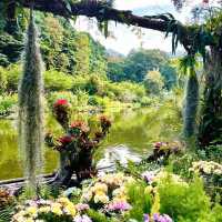 深圳仙湖植物園，陷入大自然的Love